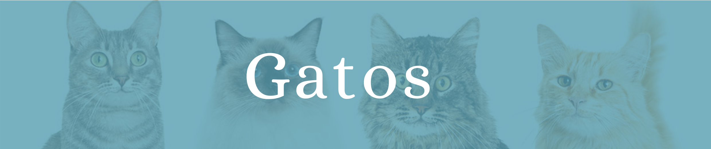 GATOS