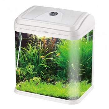 Acuario