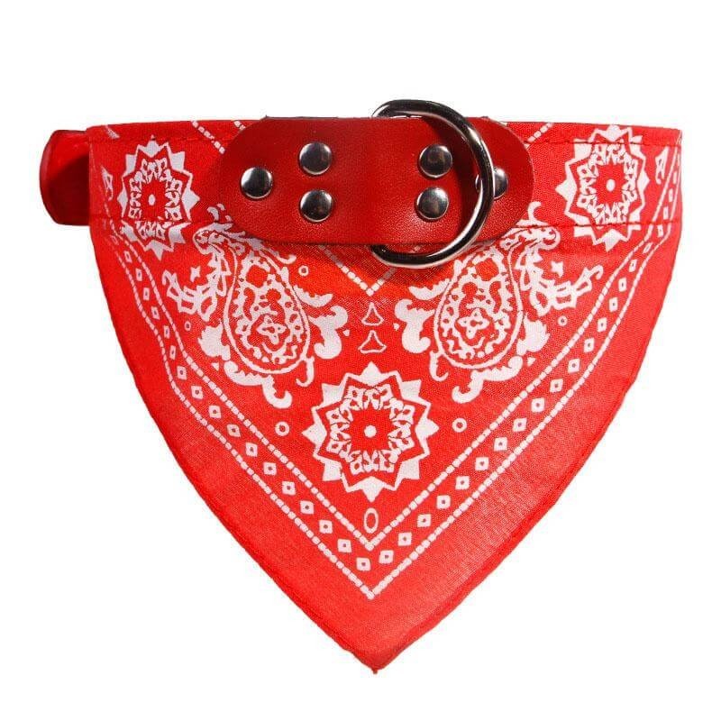 Collar Bandana