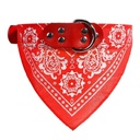Collar Bandana
