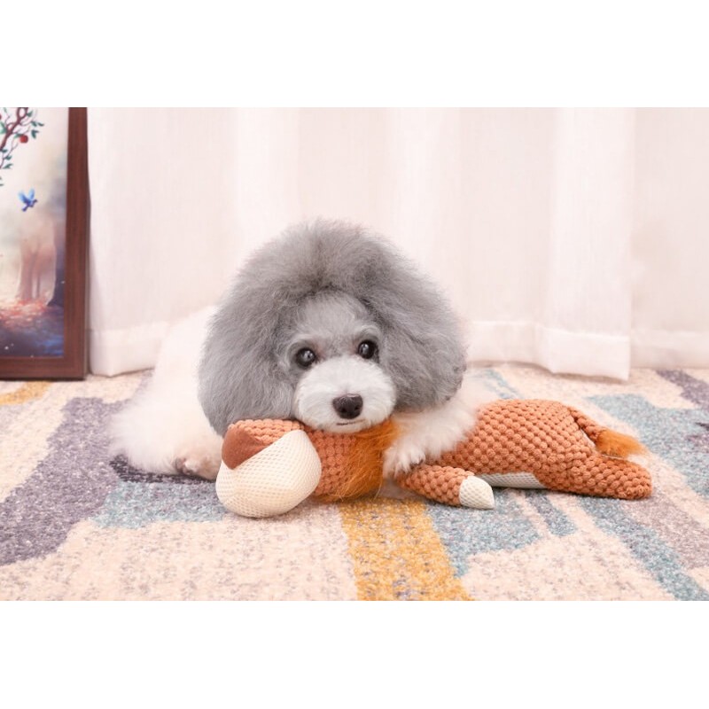 León de Peluche