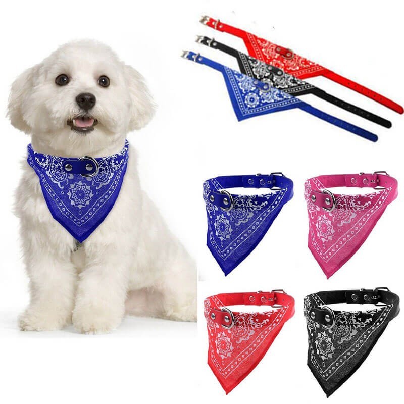 Collar Bandana